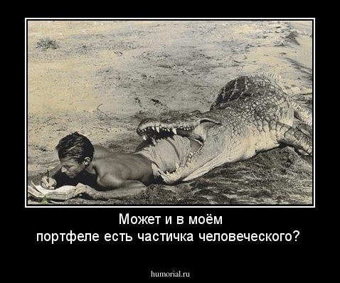 Может и в моём портфеле есть частичка человеческого?
