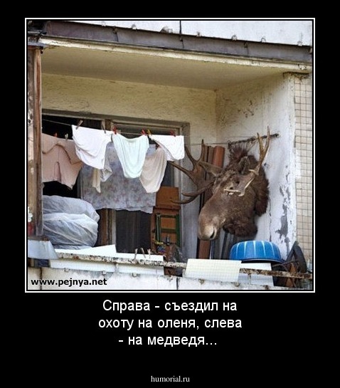 Справа - съездил на охоту на оленя, слева - на медведя...