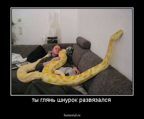ты глянь шнурок развязался 
