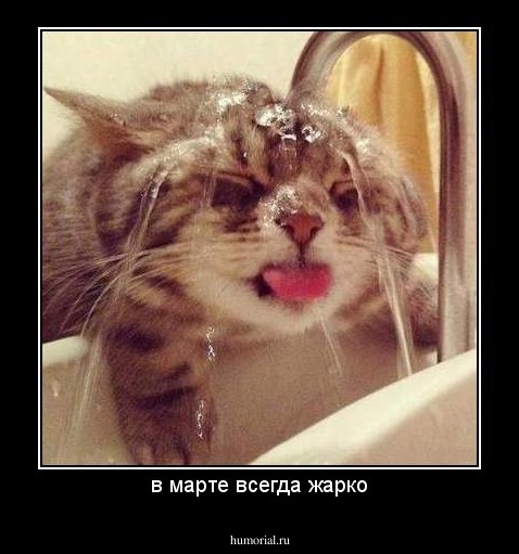 в марте всегда жарко