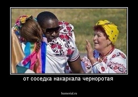 от соседка накаркала черноротая 
