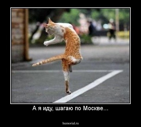А я иду, шагаю по Москве...