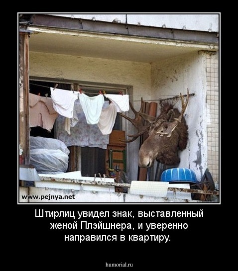 Штирлиц увидел знак, выставленный женой Плэйшнера, и уверенно направился в квартиру.
