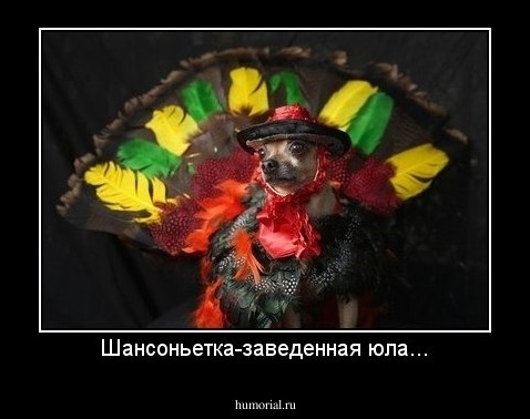 Шансоньетка-заведенная юла...