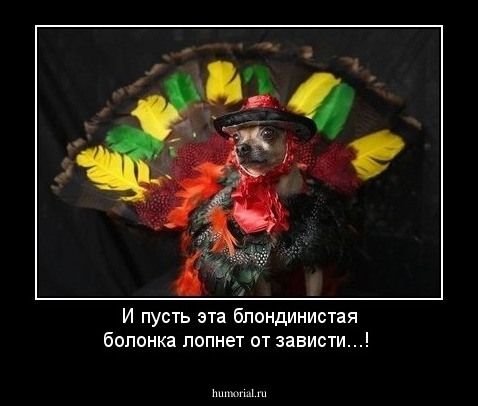И пусть эта блондинистая болонка лопнет от зависти...!