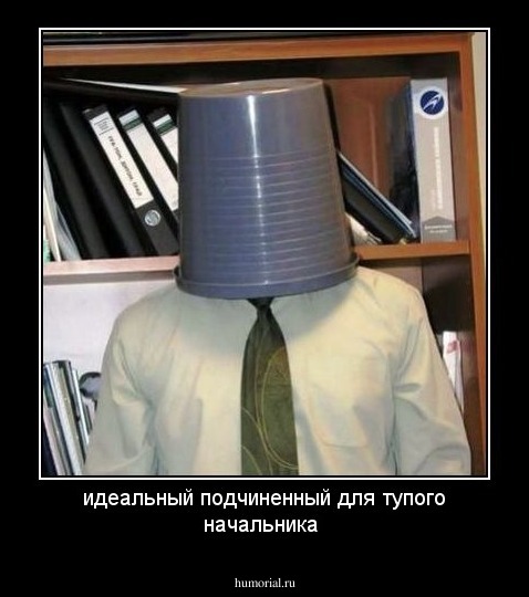 идеальный подчиненный для тупого начальника