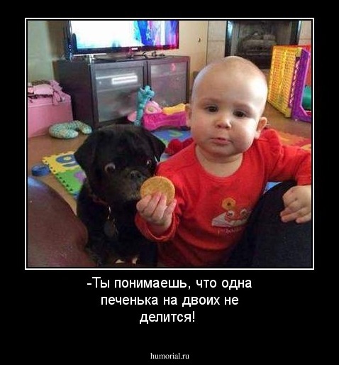 -Ты понимаешь, что одна печенька на двоих не делится!
