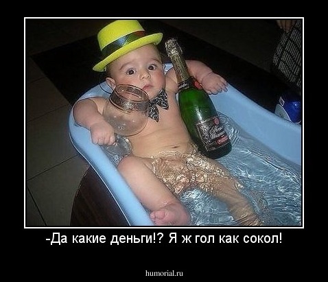 -Да какие деньги!? Я ж гол как сокол!