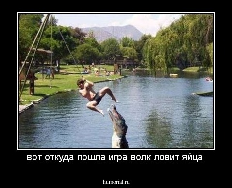 вот откуда пошла игра волк ловит яйца 