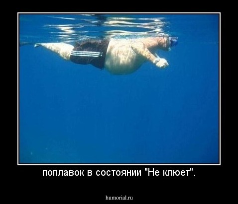 поплавок в состоянии "Не клюет".