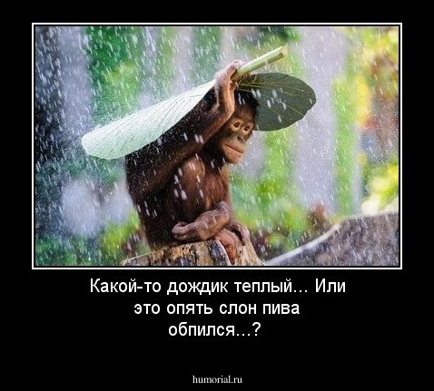 Какой-то дождик теплый... Или это опять слон пива обпился...?