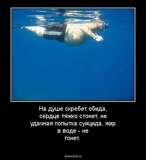 На душе скребет обида, сердце тяжко стонет, не удачная попытка суицида, жир в воде - не тонет.