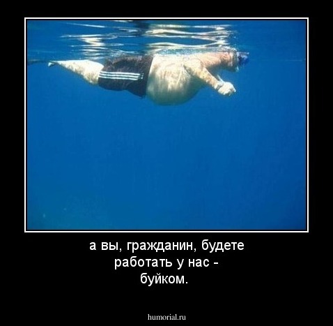 а вы, гражданин, будете работать у нас -  буйком.
