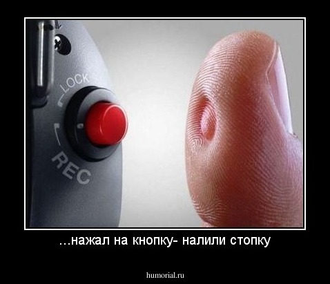 ...нажал на кнопку- налили стопку