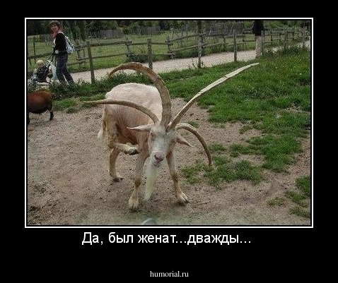 Да, был женат...дважды... 
