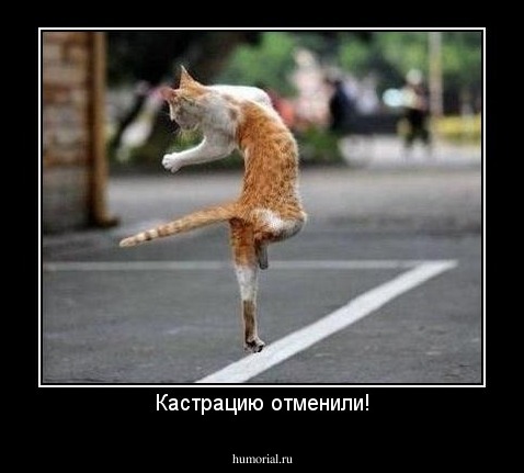Кастрацию отменили!