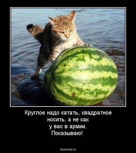 Круглое надо катать, квадратное носить, а не как у вас в армии. Показываю! 