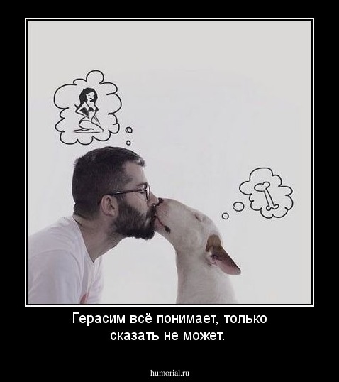Герасим всё понимает, только сказать не может.
