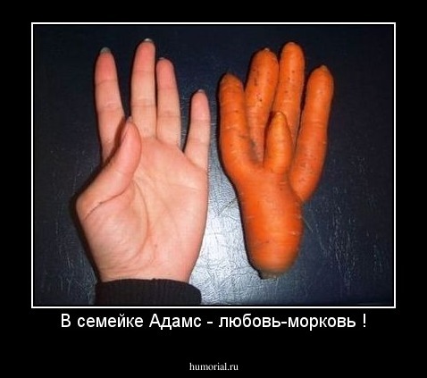В семейке Адамс - любовь-морковь !