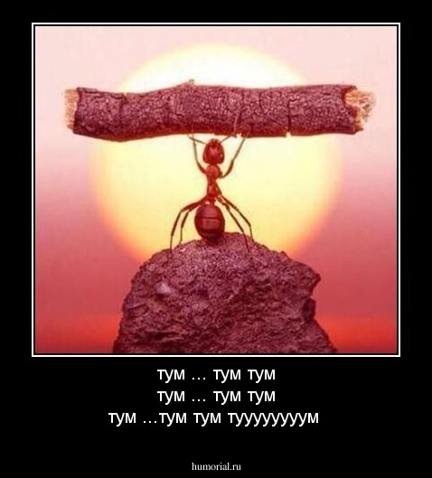 тум ... тум тум тум ... тум тум тум ...тум тум туууууууум 