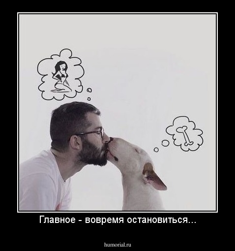 Главное - вовремя остановиться...