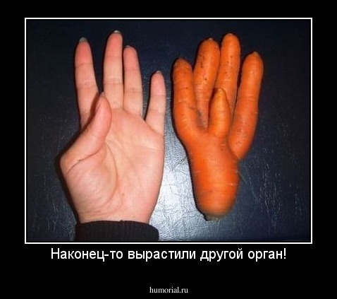 Наконец-то вырастили другой орган!