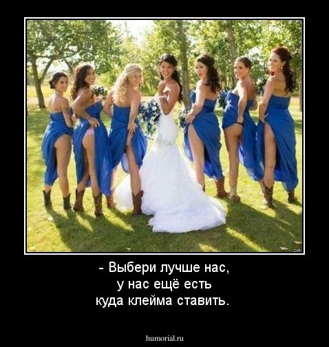 - Выбери лучше нас, у нас ещё есть куда клейма ставить. 