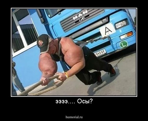 ээээ.... Осы?