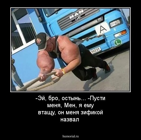 -Эй, бро, остынь...
-Пусти меня, Мен, я ему втащу, он меня зификой назвал