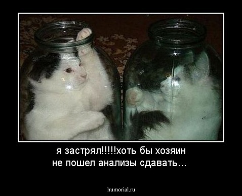я застрял!!!!!хоть бы хозяин не пошел анализы сдавать...