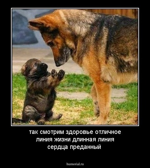 так смотрим здоровье отличное линия жизни длинная линия сердца преданный 