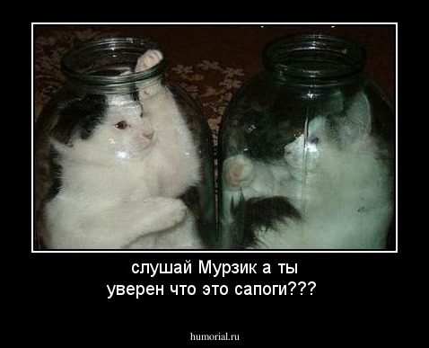 слушай Мурзик а ты уверен что это сапоги???