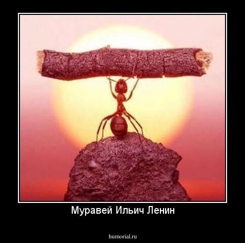 Муравей Ильич Ленин