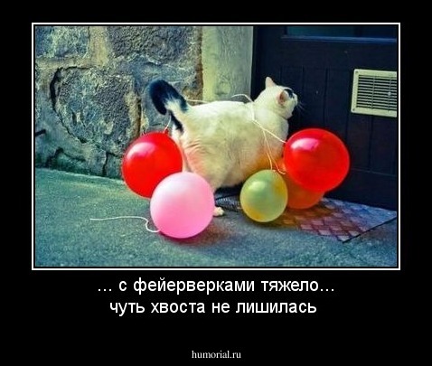 ... с фейерверками тяжело... чуть хвоста не лишилась