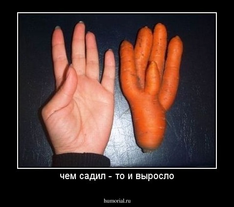 чем садил - то и выросло