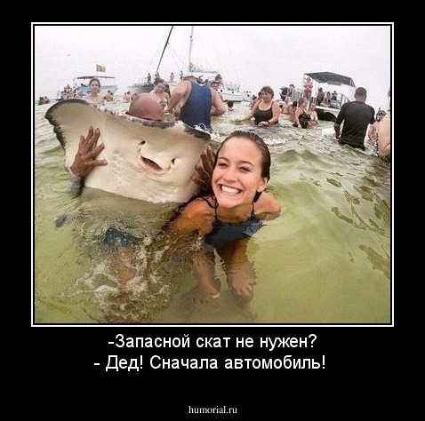 -Запасной скат не нужен? - Дед! Сначала автомобиль!