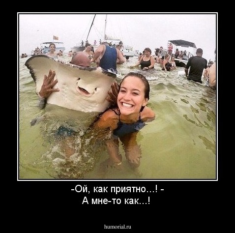 -Ой, как приятно...!                                                                                             - А мне-то как...!