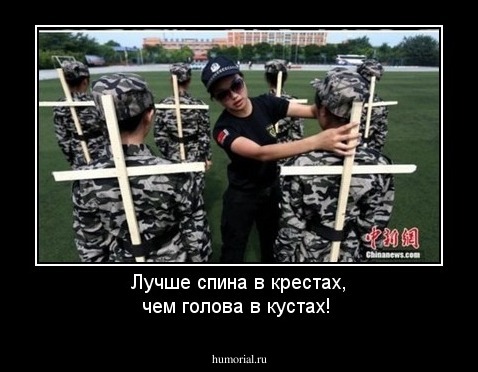 Лучше спина в крестах, чем голова в кустах!