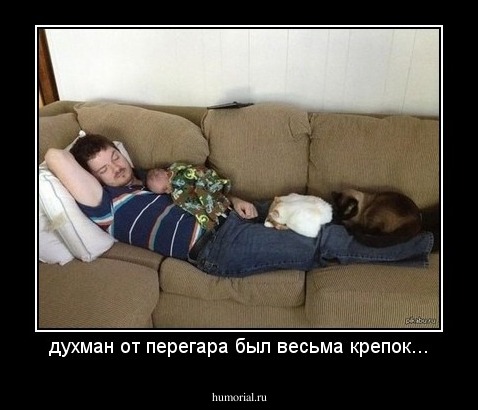 духман от перегара был весьма крепок...