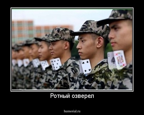 Ротный озверел