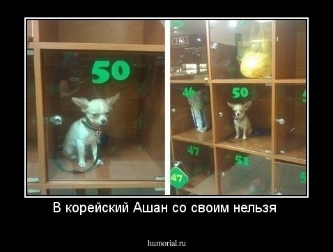 В корейский Ашан со своим нельзя 