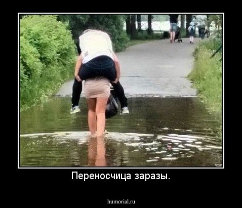 Переносчица заразы.