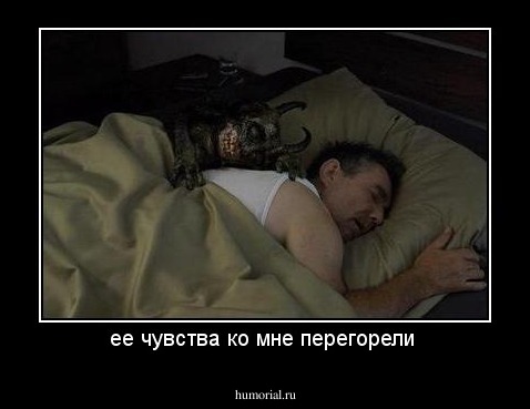 ее чувства ко мне перегорели 