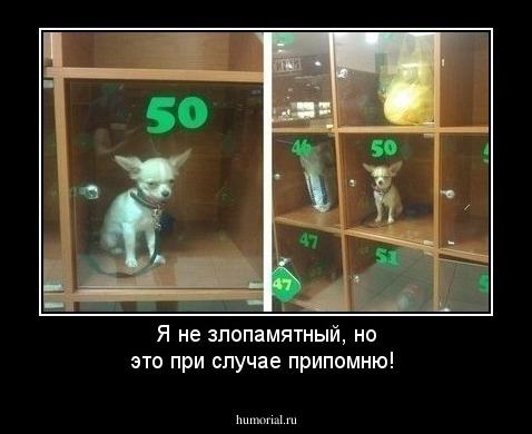Я не злопамятный, но это при случае припомню!