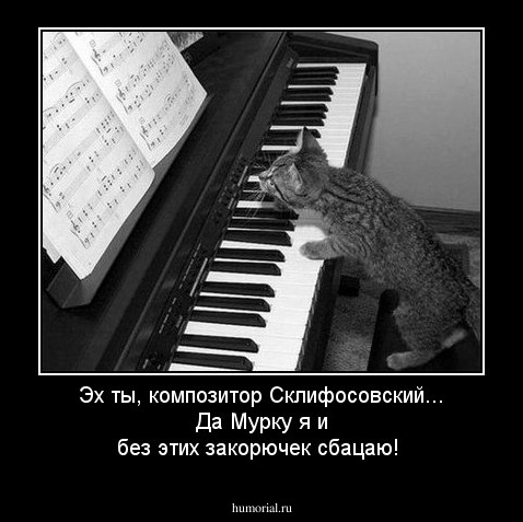 Эх ты, композитор Склифосовский...                                Да Мурку я и без этих закорючек сбацаю!