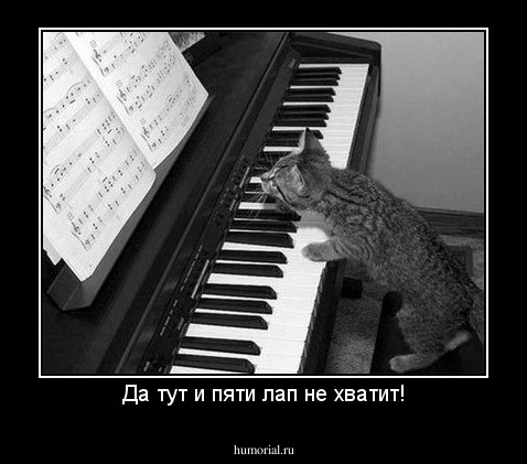 Да тут и пяти лап не хватит!