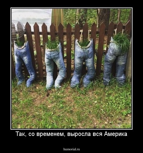 Так, со временем, выросла вся Америка