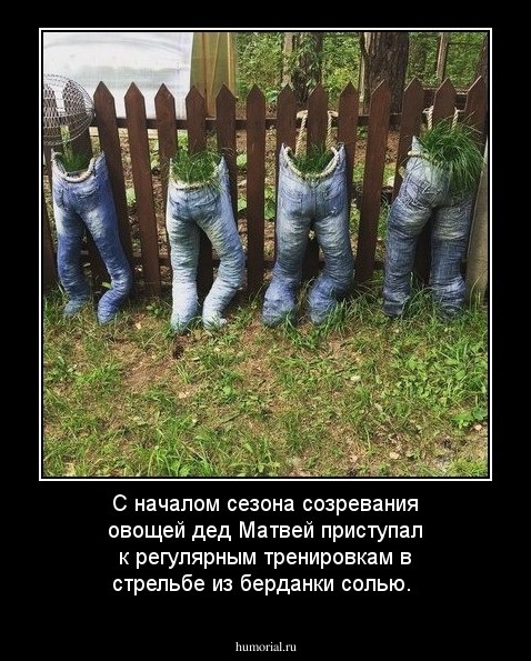 С началом сезона созревания овощей дед Матвей приступал к регулярным тренировкам в стрельбе из берданки солью.