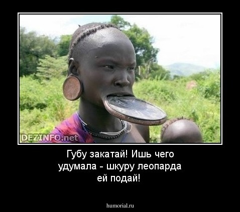 Губу закатай! Ишь чего удумала - шкуру леопарда ей подай!