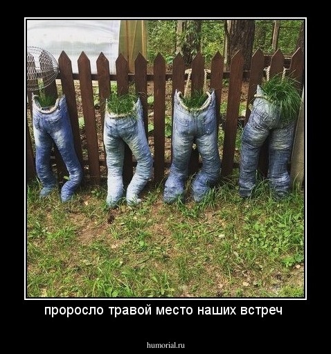 проросло травой место наших встреч 
